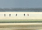 On The Beach by Ann Woolhouse